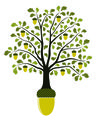 Acorn.tree.jpg