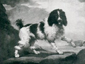 Thumbnail for version as of 22:25, 19 January 2015